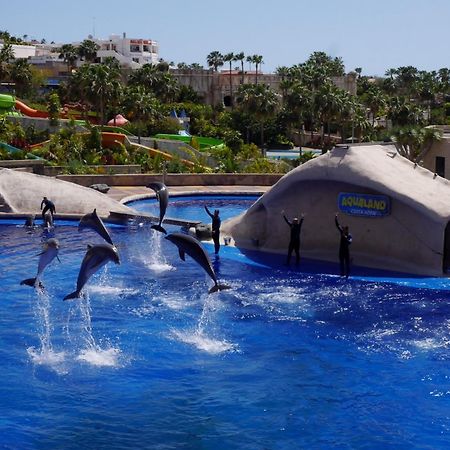 Amazing 3 Bedroom Apartment On The First Line Of The Best Las Americas Beach, Air Conditioner And Terrace Ocean View Playa de las Americas  Ngoại thất bức ảnh